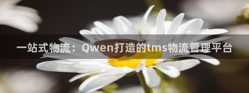28圈加拿大28：一站式物流：Qwe