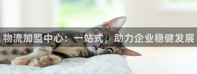 28圈下载二维码：物流加盟中心：一站