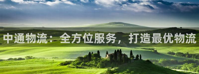南宫28圈怎么注册：中通物流：全方位服务，打造最优物流