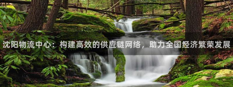 28圈注册登录链接：沈阳物流中心：构