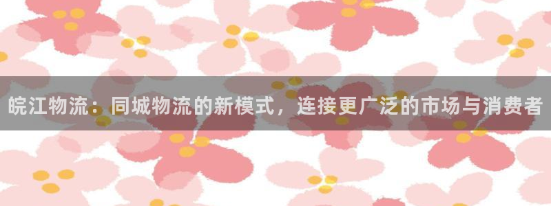 南宫28圈官网版：皖江物流：同城物流