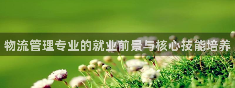 28圈口：物流管理专业的就业前景与核心技能培养