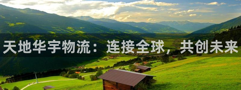 28圈加拿大官网：天地华宇物流：连接全球，共创未来