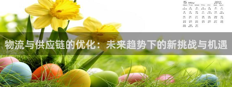 28圈现在狂杀：物流与供应链的优化：