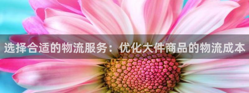 28圈黑吗