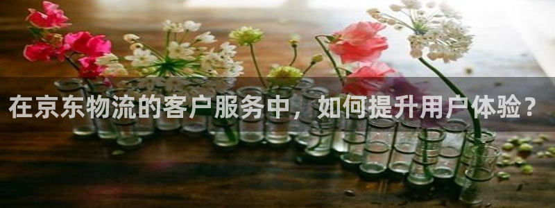 28圈登陆网