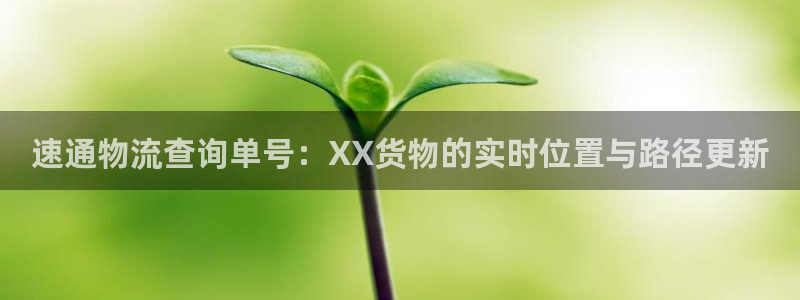 28圈最稳打法